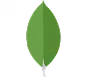 mongodb